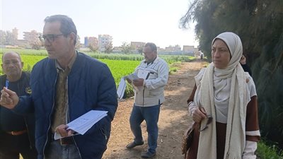 زراعة كفر الشيخ تستنفر لجانها الميدانية لتدقيق حصر 