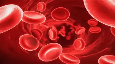 فقر الدم.. أبرز أسبابه وطرق علاجه