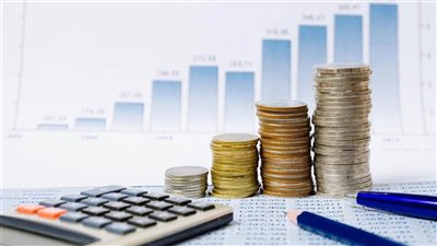 خبير اقتصادي: 75% من إيرادات الموازنة العامة للدولة تعتمد على الضرائب (فيديو)
