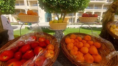 تنظيم مهرجان للفواكه الشتوية علي شواطىء الغردقة 
