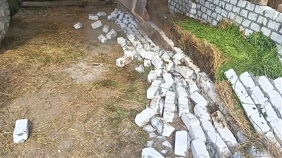 إزالات صباحية و مسائية فورية لجميع التعديات و المخالفات بالمحلة