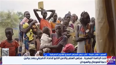 السفير صلاح حليمة: الرؤية المصرية لحفظ سيادة الصومال والسودان تحظى بإجماع أفريقي