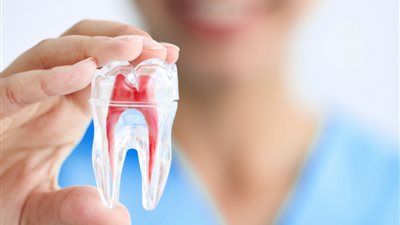 أطباء يكشفون عن سلاح طبيعي لحماية الأسنان من التسوس