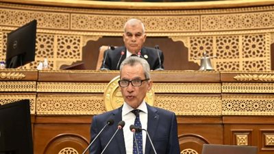 وزير شؤون المجالس النيابية : سنواصل مد جسور التعاون بين الحكومة والبرلمان