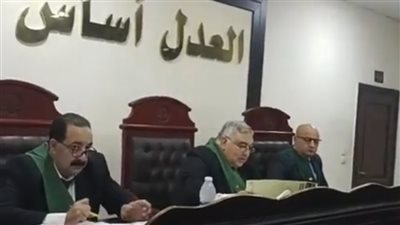 تأجيل محاكمة ربة منزل متهمة بقتل رضيعتها في البحيرة لجلسة 16 مارس المقبل