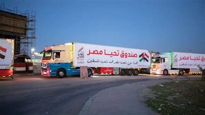 11,447 طن سلع غذائية وأدوية من مصر للشعب الفلسطينى خلال عام واحد 