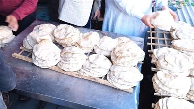 ضبط 97 مخبزًا مخالفًا بالشرقية خلال يومين
