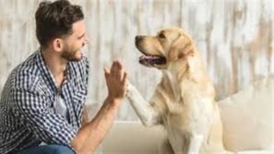 اقتناء الكلاب.. تشدد اجتماعي أم تيسير شرعي؟