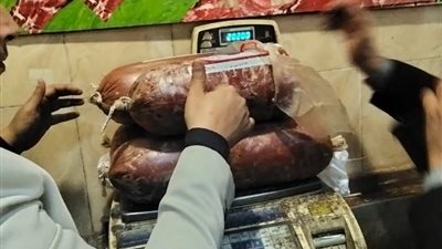 ضبط 119 كيلو لحوم ودواجن فاسدة بالمنيا 