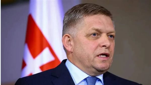 رئيس وزراء سلوفاكيا يعلن تعليق إمدادات الكهرباء إلى أوكرانيا