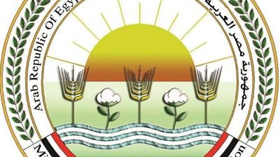 عاجل.. وقف موظفة بمديرية زراعة الغربية عن العمل وإحالتها إلى النيابة الإدارية