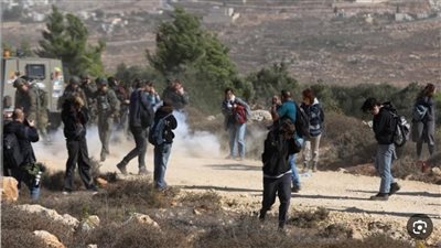 إصابة 4 فلسطينيين جراء اعتداء الاحتلال عليهم غرب الخليل