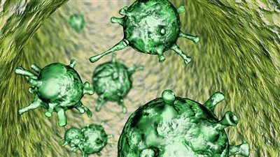 فيروس انفلونزا دي    