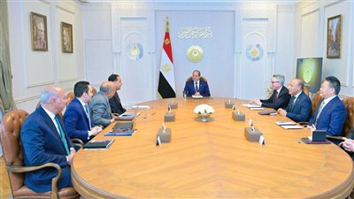 عاجل.. السيسي يستقبل الرئيس التنفيذي لشركة 