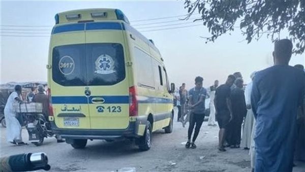 جريمة ميراث تهز قرية الهجارسة.. شقيق يقتل شقيقه بالشرقية