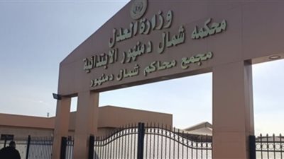 السجن المؤبد لشاب قتل صديقه بسبب خلاف على هاتف محمول بالبحيرة