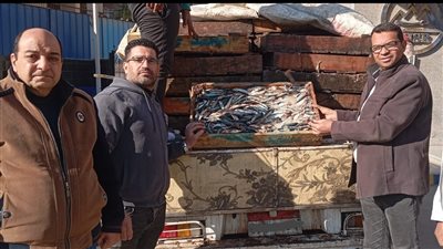 ضبط 1675 كيلو أسماك فاسدة قبل بيعها بالفيوم 
