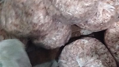 ضبط 1.7 طن منتجات لحوم غير صالحة للاستهلاك الآدمي بالدقهلية 