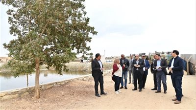 محافظ الفيوم يتفقد الحزام الآمن ومواقع إنزال زريعة الأسماك ببحيرة قارون