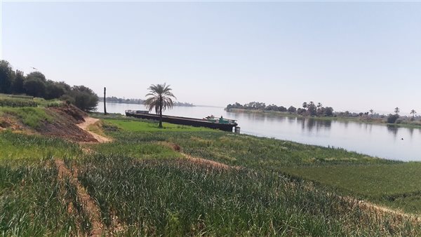 القنائيون يحتفلون بذكرى النصر وإغراق أسطول فرنسا في النيل