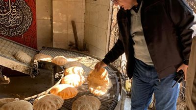 ضبط 180 كيلو لحوم ومخلل مجهولة المصدر وتحرير 306 مخالفة تموينية  بالدقهلية 