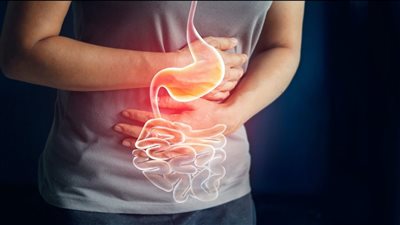 جرثومة المعدة