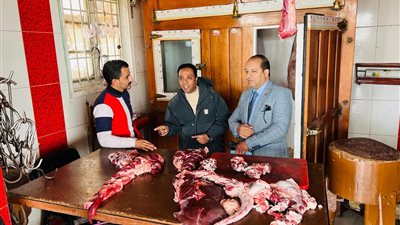 محافظ الدقهلية يتابع جهود  الطب البيطري في حملاتها  على محال الجزارة