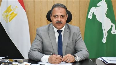 563 مشروعًا بـ 30 مليار جنيه تقود تنمية الشرقية في 2026