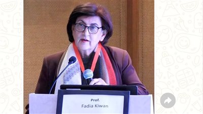 منظمة المرأة العربية: «الستات» عايزة حماية