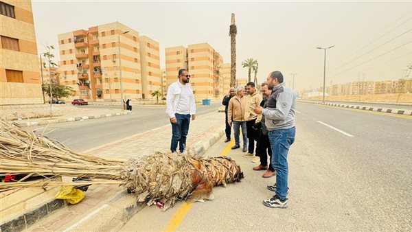 جانب من الجولة 