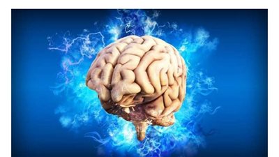 عنصر غذائي مفيد يرتبط بتدهور أسرع في وظائف الدماغ.. فما هو؟
