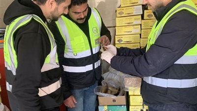 ضبط طن رنجة غير صالحة للاستهلاك الآدمي بالغربية