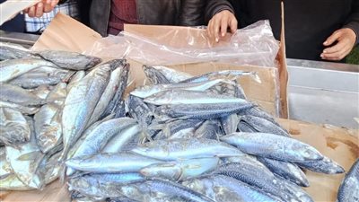 ضبط 6 محلات لحيازتهم فسيخ وسردين غير صالح للاستهلاك الادمي بالبحيرة