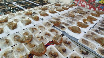 توزيع 918 وجبة إفطار و450 كجم مواد غذائية للأسر الأولى بالرعاية بوادي النطرون