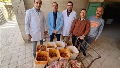 ضبط 160 كيلو أسماك ولحوم غير صالحة بسوهاج 