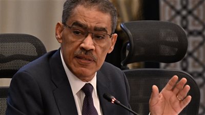 وزير الإعلام: أعداء الأمة العربية يرغبون في تفجيرها من الداخل 