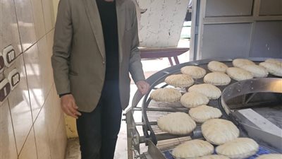 تحرير  210 مخالفات فى حملات تموينية  بالدقهلية خلال يومين