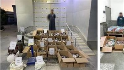 الداخلية تحرر 96 مخالفة لمحلات لم تلتزم بقرار ترشيد الكهرباء