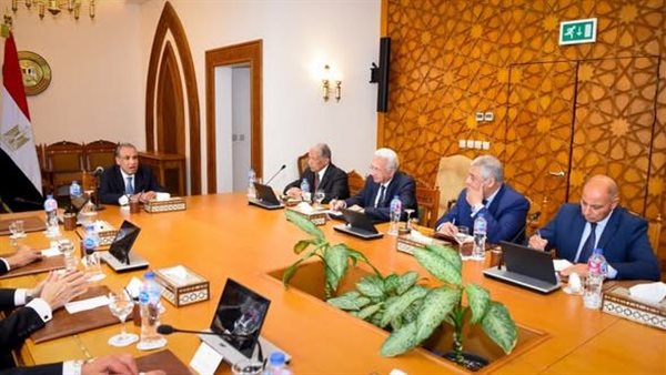 وزير الخارجية يلتقى مع مجموعة من السفراء المتقاعدين ويبحث محددات الموقف المصري