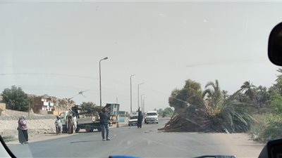 شجرة تسقط من سيارة نقل وتربك حركة السير لحظات بأسوان