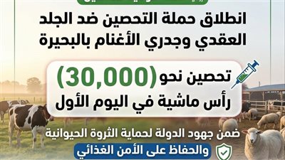 انطلاق الحملة القومية للتحصين ضد مرض الجلد العقدي وجدري الأغنام بالبحيرة