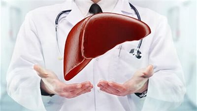 أبرزها الخضراوات الورقية.. أطعمة تدعم صحة الكبد