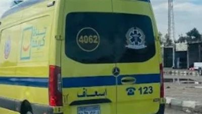 طالب يلقى مصرعه طعنًا على يد زميله في لحظة غضب بمشاجرة فى البحيرة
