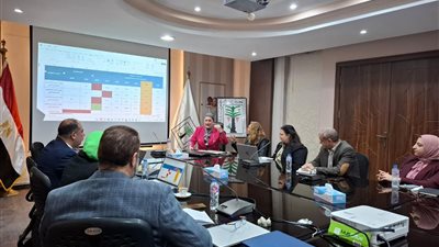مجلس الوزراء يدعم إعداد خطة وطنية لتنمية الطفولة المبكرة قائمة على البيانات 