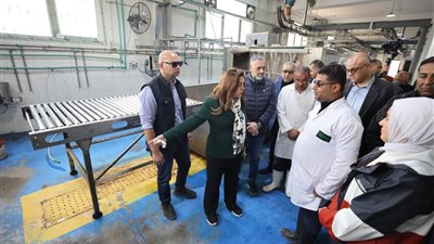 مخالفات جسيمة تُطيح بمدير الطب البيطري بالإسكندرية