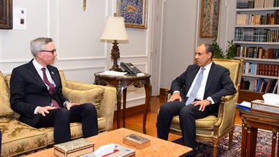 وزير الخارجية يستقبل الرئيس التنفيذي لشركة 