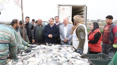 انطلاق موسم صيد الأسماك بالشرقية من العباسة
