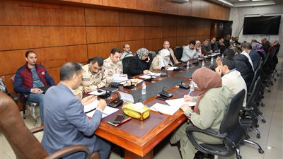 الدقهلية تستعد للمرحلة الثانية من 