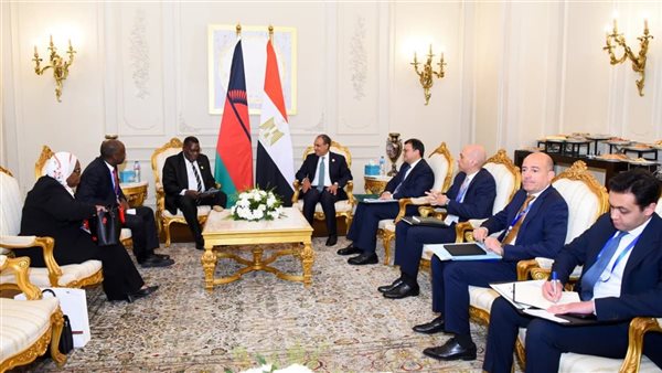 وزير الخارجية يلتقي نظيره المالاوي لبحث سبل تعزيز العلاقات الثنائية