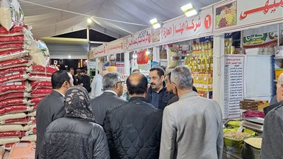 محافظ الدقهلية يتفقد معارض ومنافذ البيع ويشدد على الإعلان عن الأسعار والبيع بأقل من السوق 